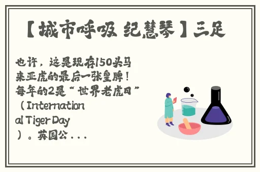 九九99久久精品在免费线bt